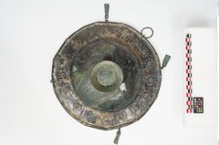 Foto von Bronzebreitrandfußschale (NHMW-PRAE-025213)